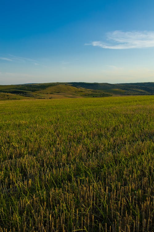 A magical evening atmosphere during the summer. A beautiful plain in the fields of Moldova