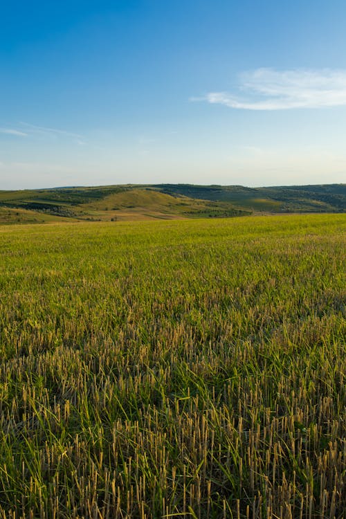 A magical evening atmosphere during the summer. A beautiful plain in the fields of Moldova