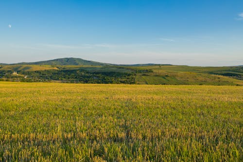 A magical evening atmosphere during the summer. A beautiful plain in the fields of Moldova