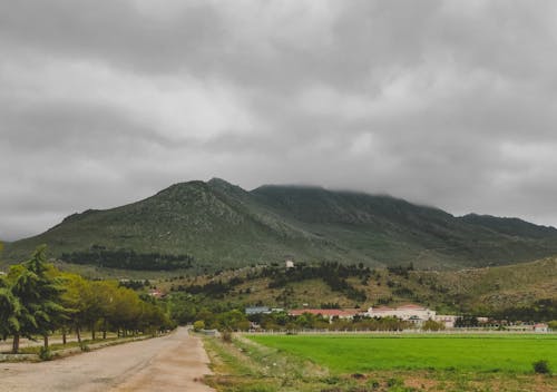 Imagine de stoc gratuită din acoperit de nori, agricultură, arbori