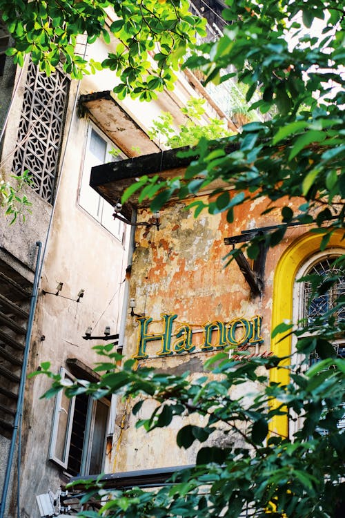 Facade of an Old Building behind the Tree Branches in City 