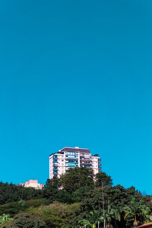 Foto profissional grátis de architecture, árvores, blue sky