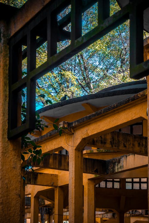 Kostenloses Stock Foto zu betonpfeiler, brasilien, dach
