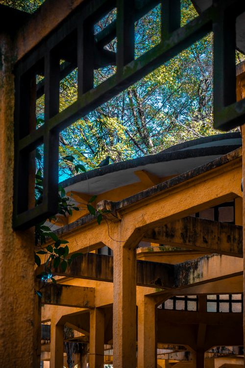 Free View of geometric concrete architecture amidst natural greenery in São Paulo, Brazil. Stock Photo