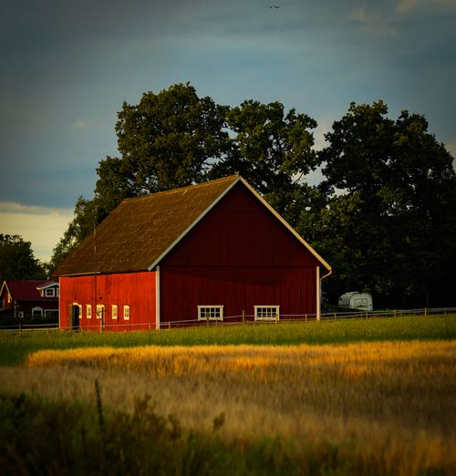 Free Picturesque red barn in a peaceful rural landscape, surrounded by lush greenery and golden fields. Stock Photo
