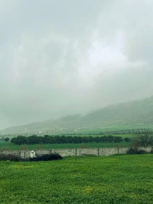 Cloudy Sky over Green Fields in Countryside in Iran