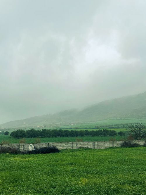 Free Lush green farmland in Mazandaran under a misty, cloudy sky, offering a serene rural landscape. Stock Photo