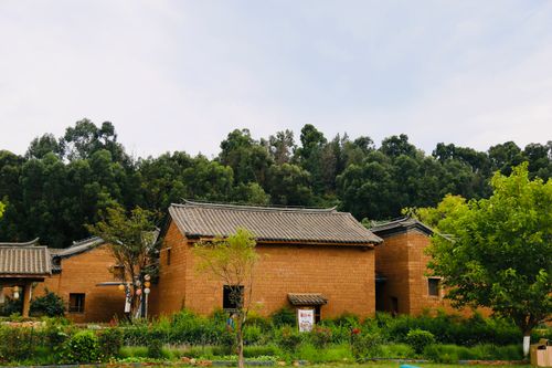 Free Scenic view of traditional clay houses surrounded by lush greenery and forest. Stock Photo