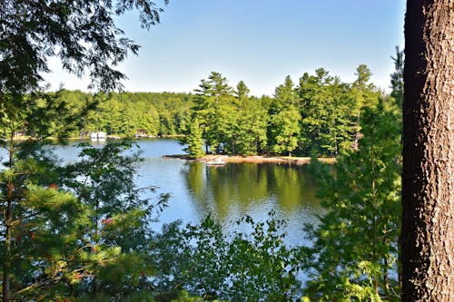 Kostnadsfri bild av landskap, lövfällande, sjö