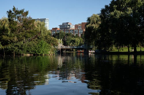 Lake in Park in Town