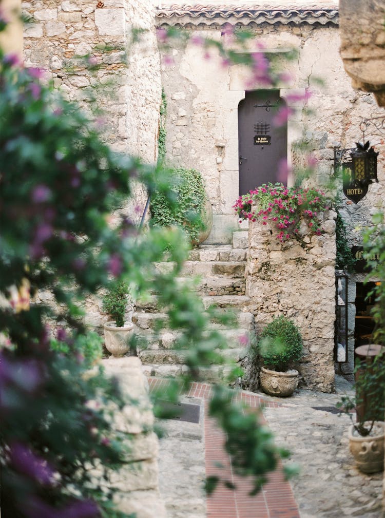 Flowers In An Antique Valley