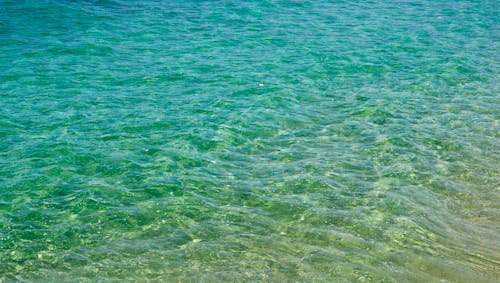 바다, 빛나는, 주름살의 무료 스톡 사진