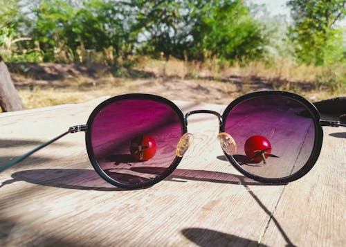 Fotobanka s bezplatnými fotkami na tému paradajky, slnečné okuliare, záhrada