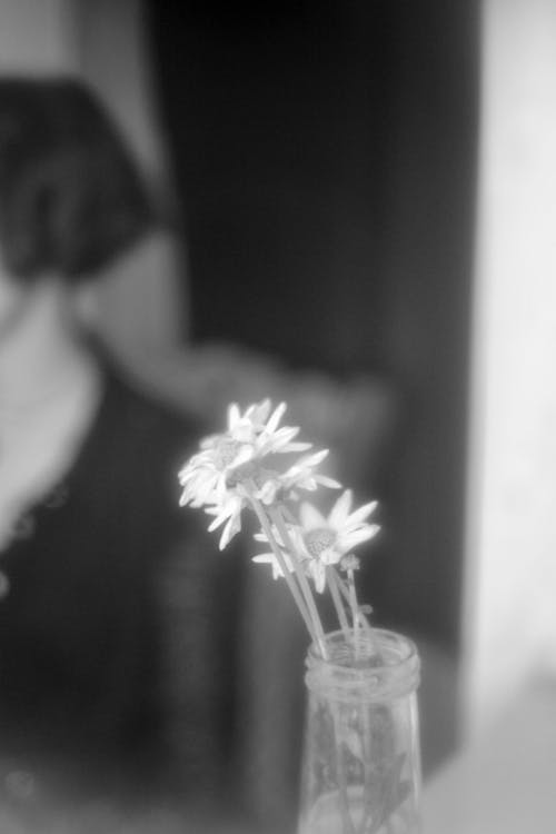 Fotobanka s bezplatnými fotkami na tému čierny a biely, dekorácia, kvety