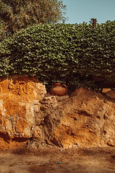 Terracotta wall under a clipped hedge — Georgie Devlin on Pexels