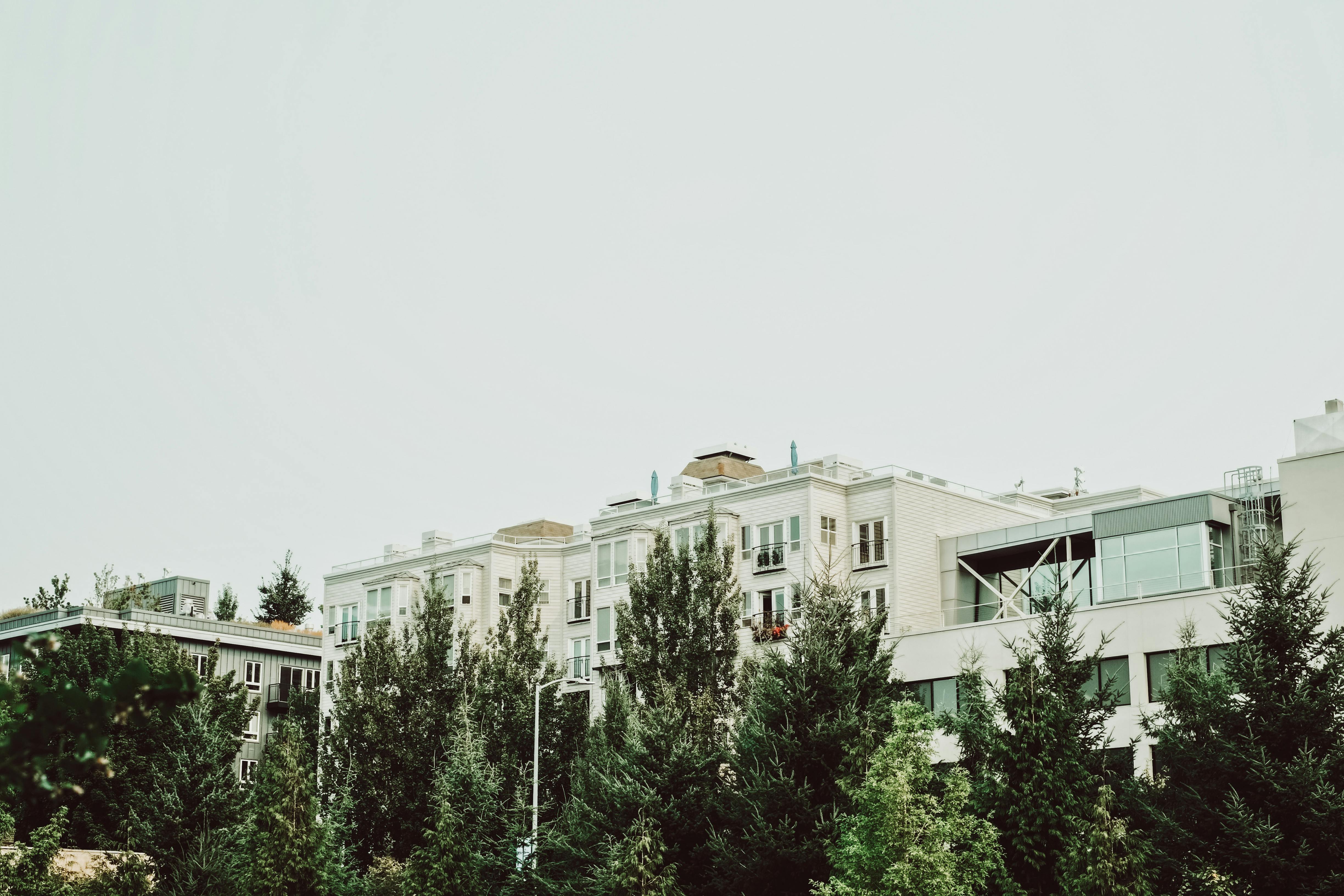 A view of modern apartment buildings surrounded by lush trees in an urban area.