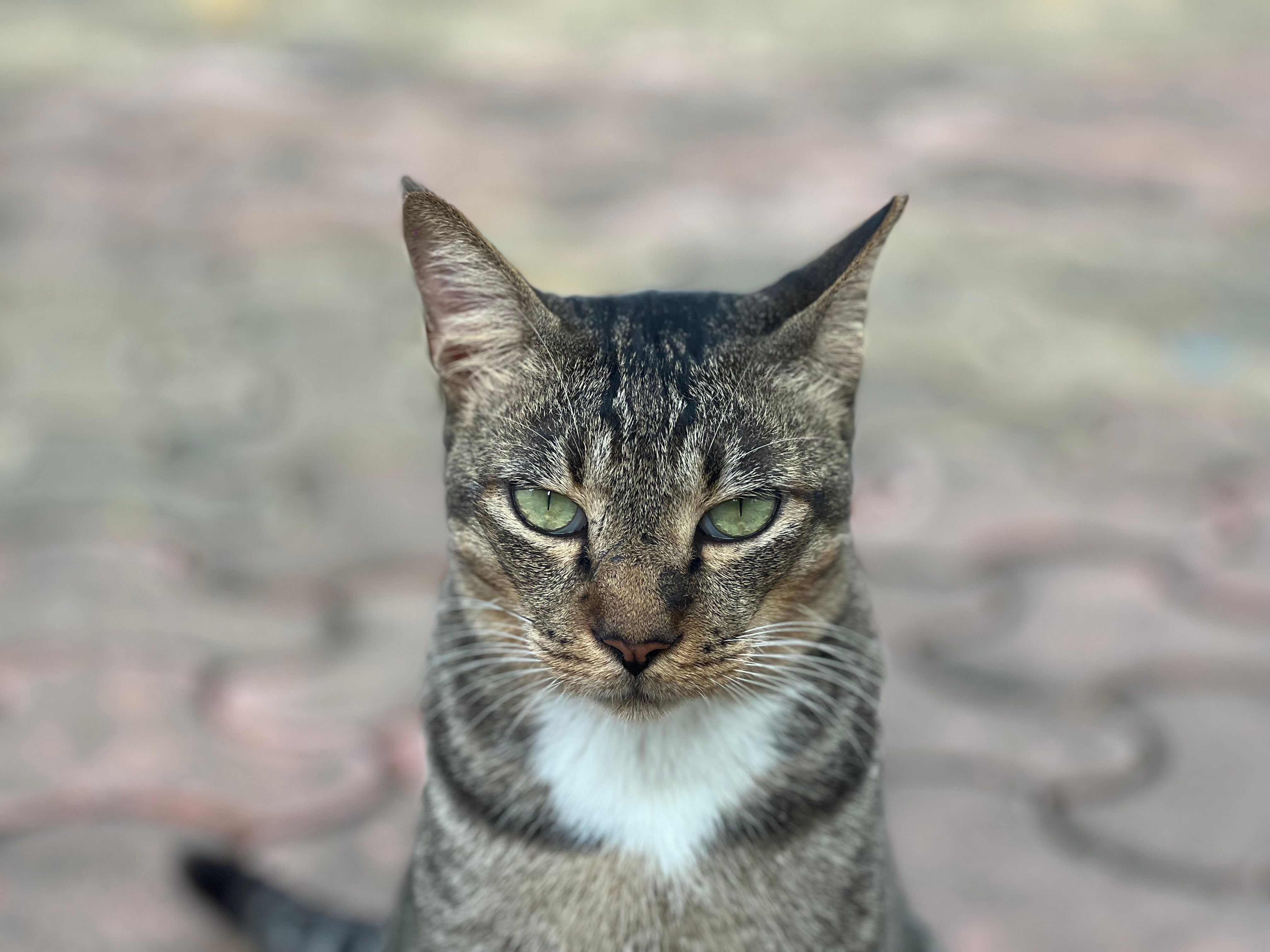 Câte companii își închid porțile.
