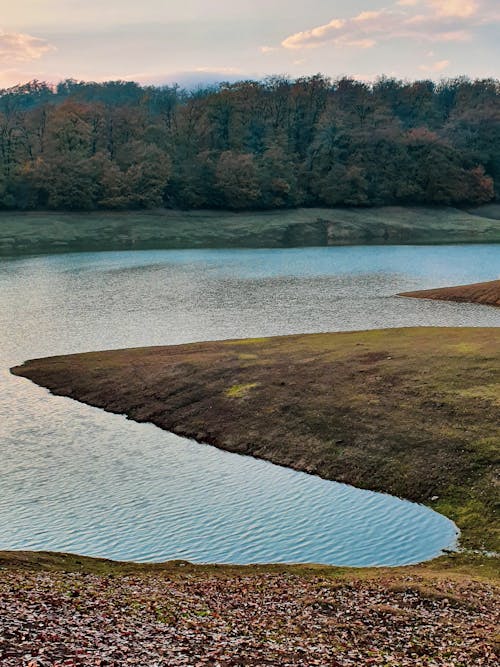 View of a River and Forest 