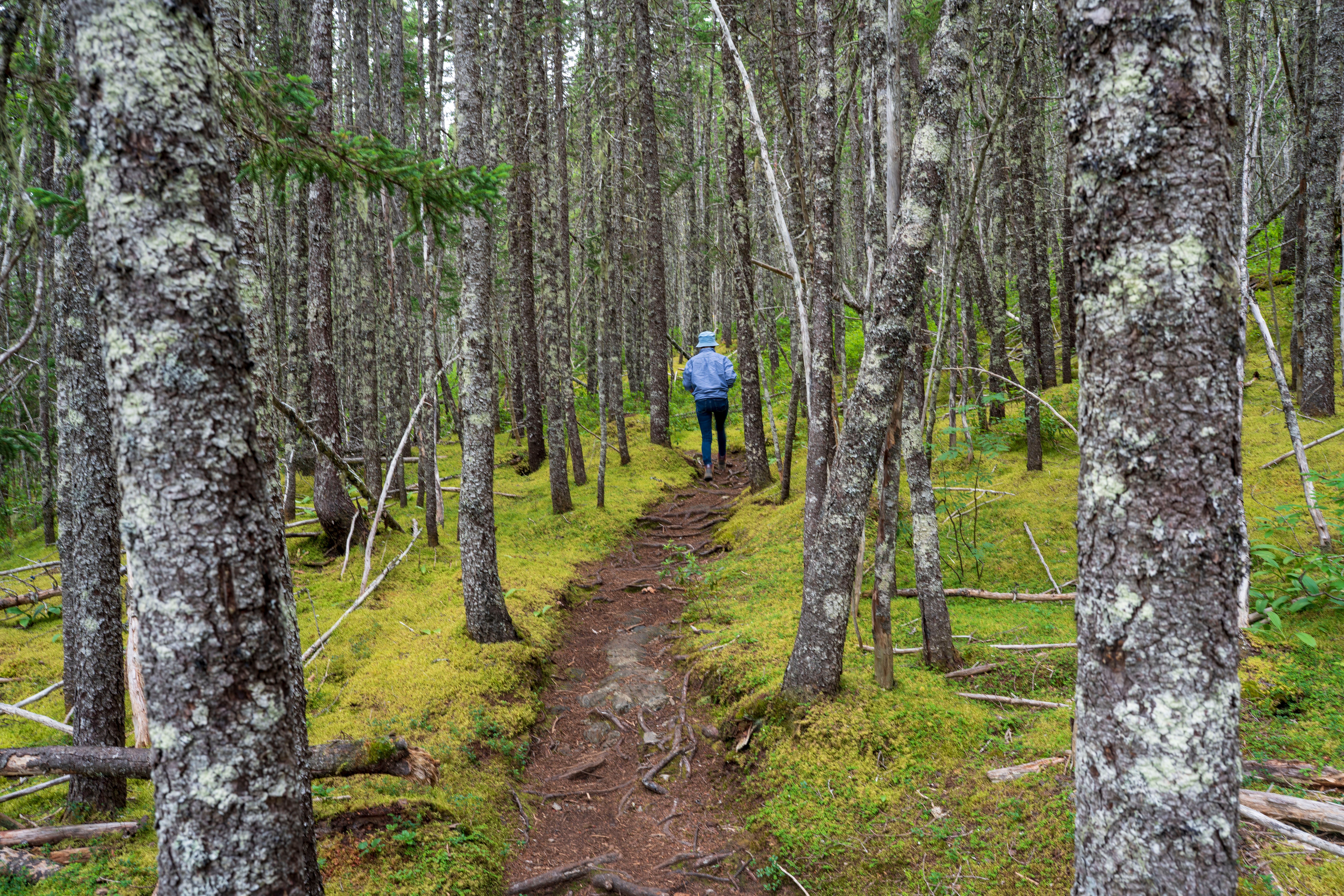 Discovery Blazes One Last Trail