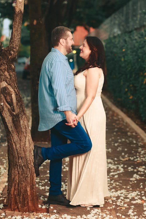 Fotos de stock gratuitas de afecto, amor, árbol