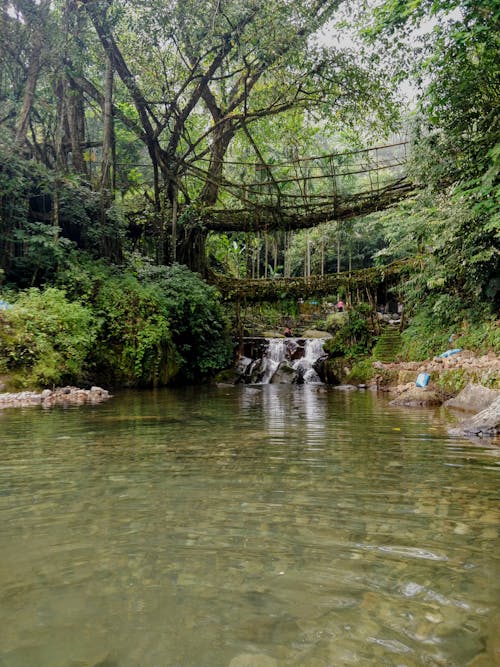 Waterfall in a Jungle 