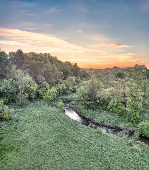 Green Forest and River at Sunset