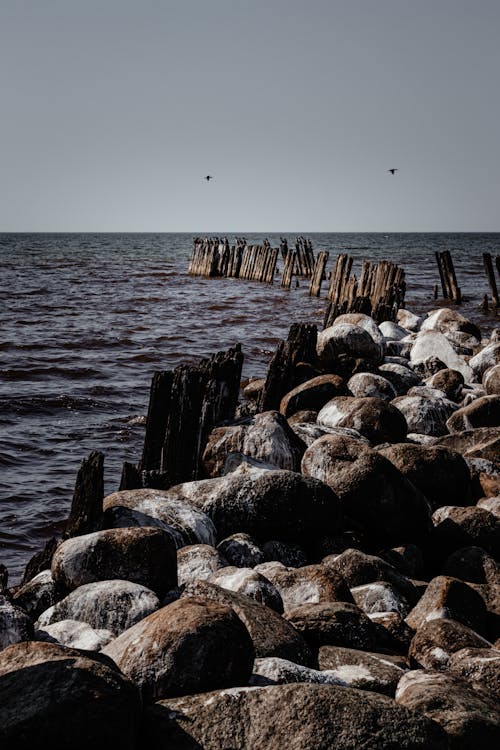 View of a Rocky Shore and Seascape 