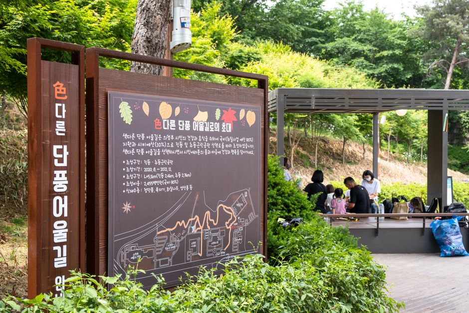 건강 슬관절연골수술치료비 건강 슬관절연골수술치료비