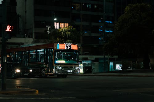 アスファルト, バス, ライトの無料の写真素材