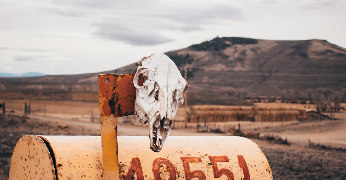專家提醒:保護荒漠草原刻不容緩,守護生態與經濟雙贏