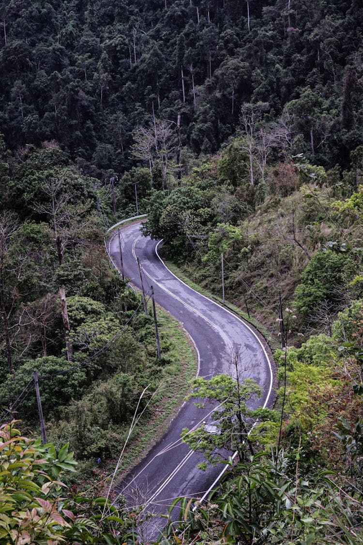 Mountain Winding Road 