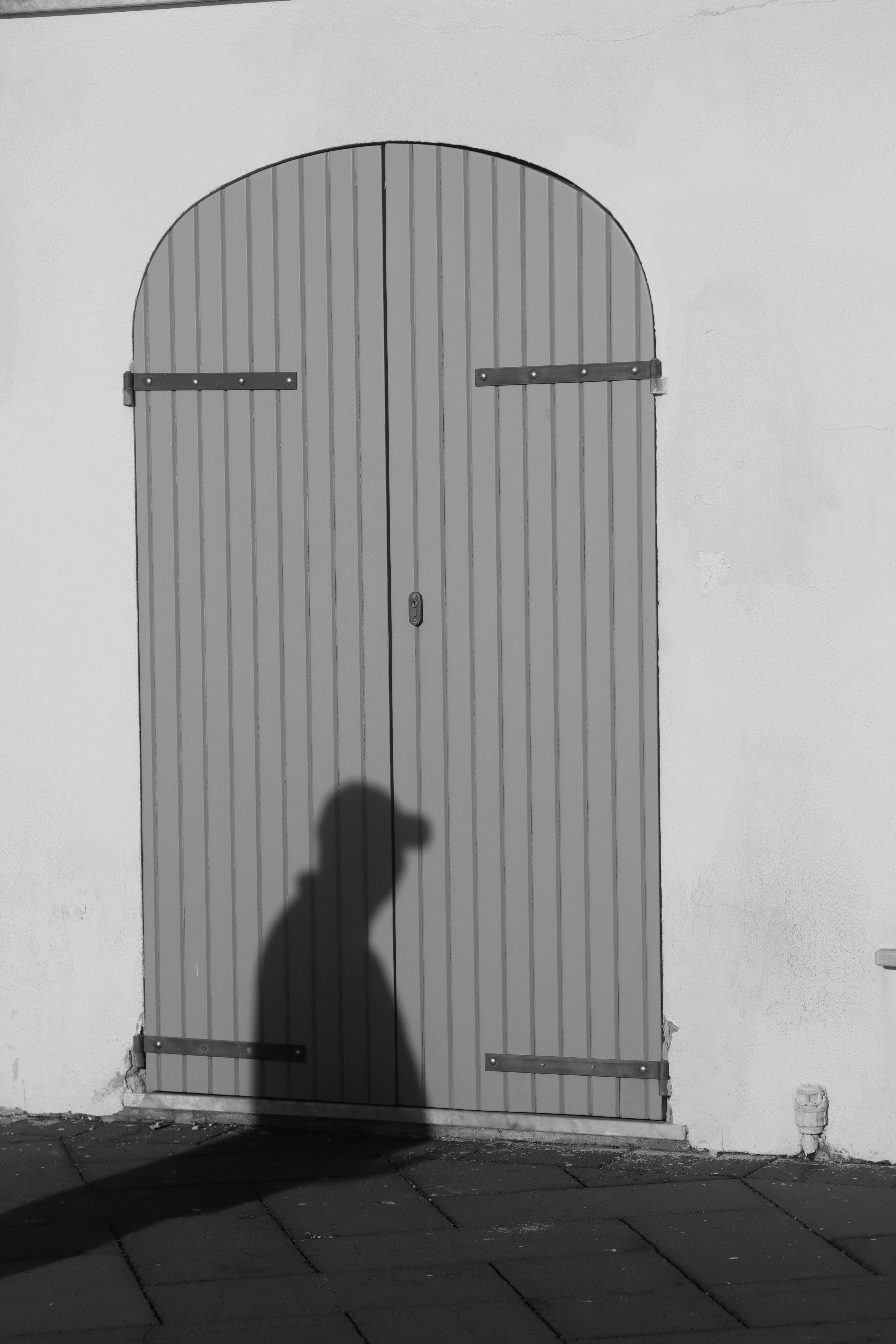 A mysterious shadow cast on a tall wooden door in Alghero, Sardinia.