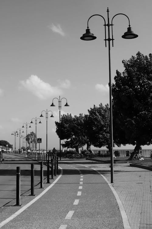 Decorative Streetlights in Black and White