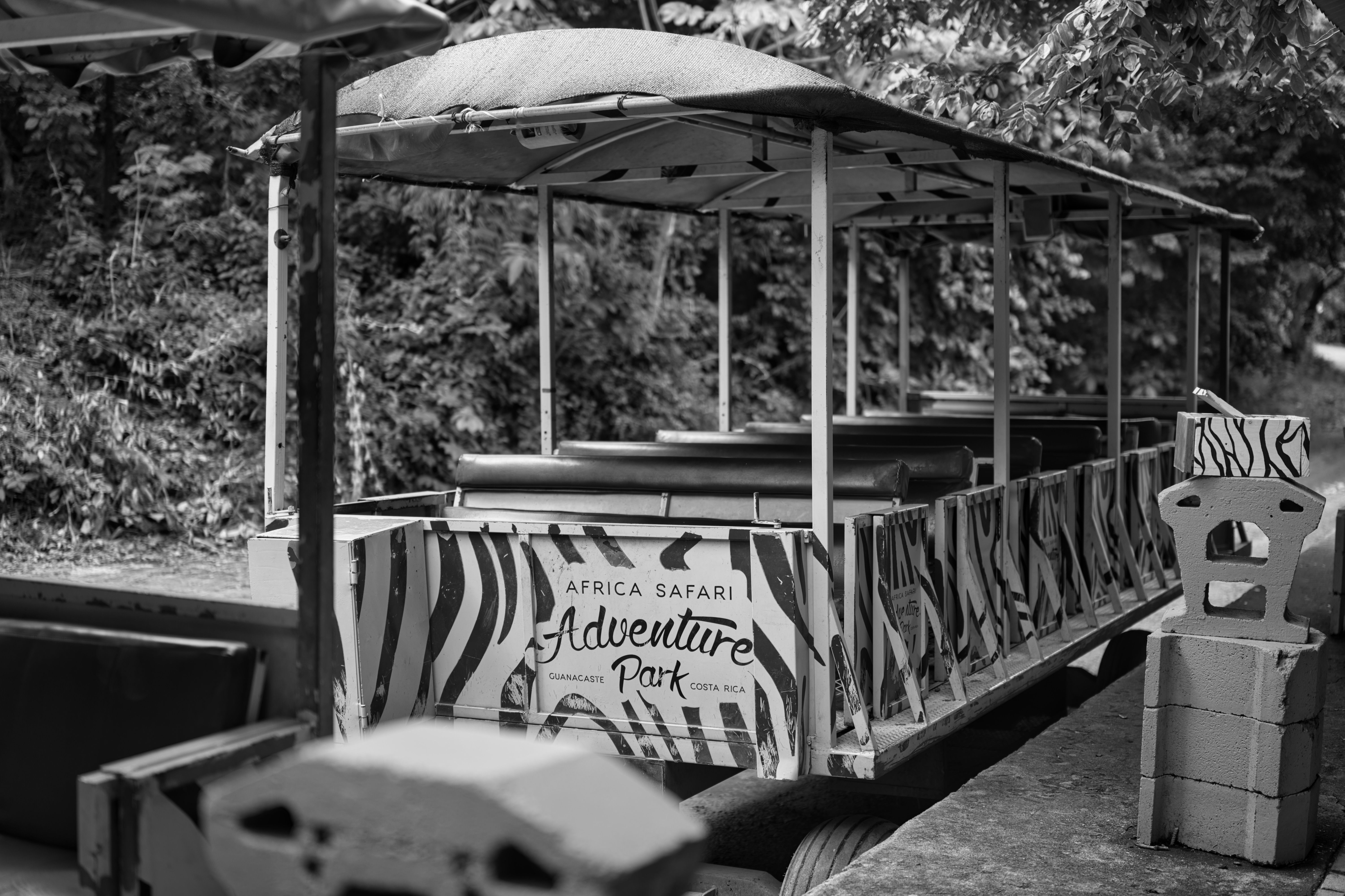 Black and White Photo of a Train in a Theme Park · Free Stock Photo