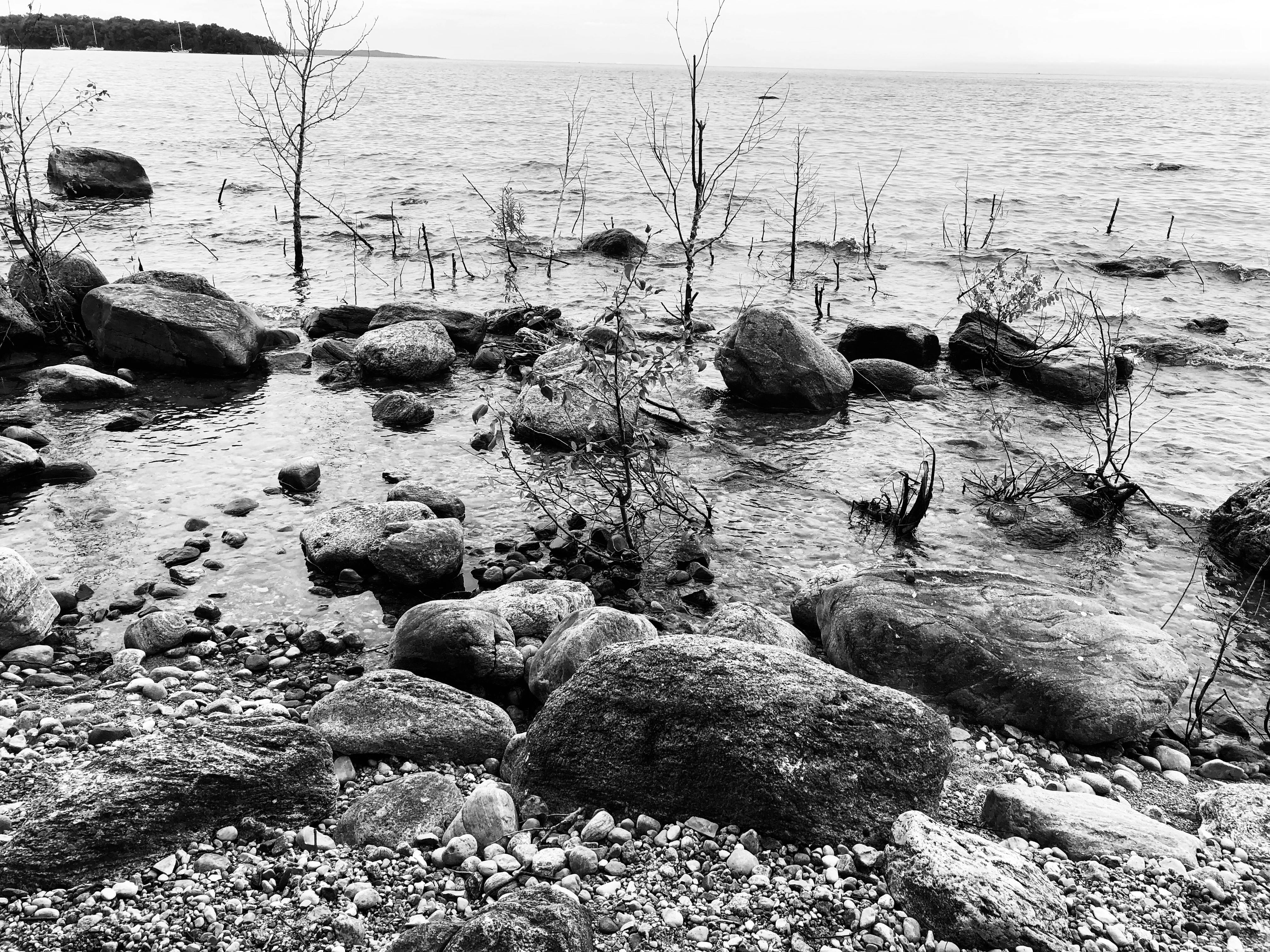 Free stock photo of black and white, rocks, rocky shore
