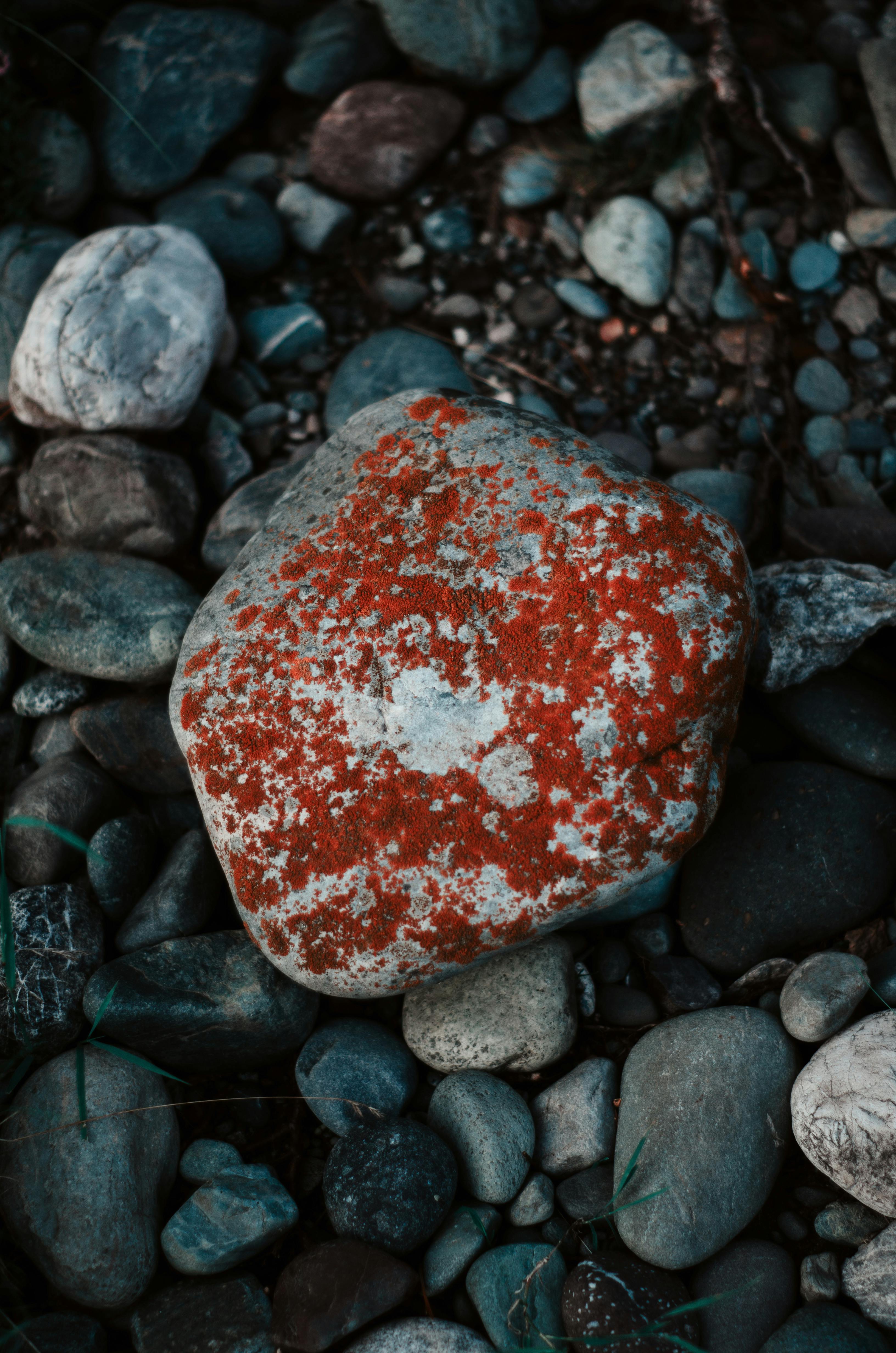 Red Painted Rock Serving as a Trail Marker · Free Stock Photo