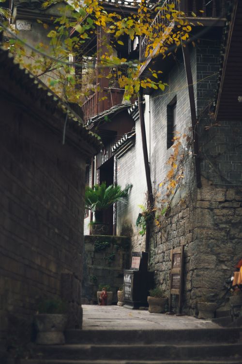 Free A picturesque narrow alleyway in a historical village, showcasing traditional architecture and natural charm. Stock Photo