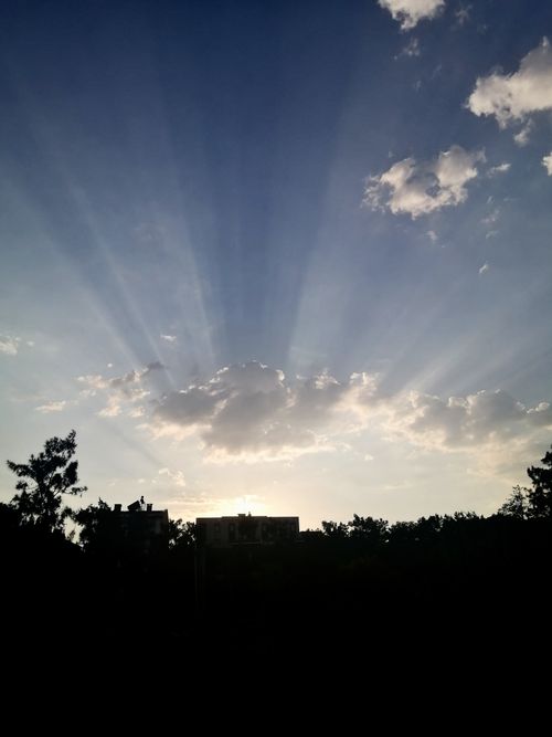 Free Sunshine and silhouette  Stock Photo