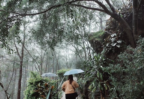 Immagine gratuita di amante della natura, attrazione turistica, destinazione turistica