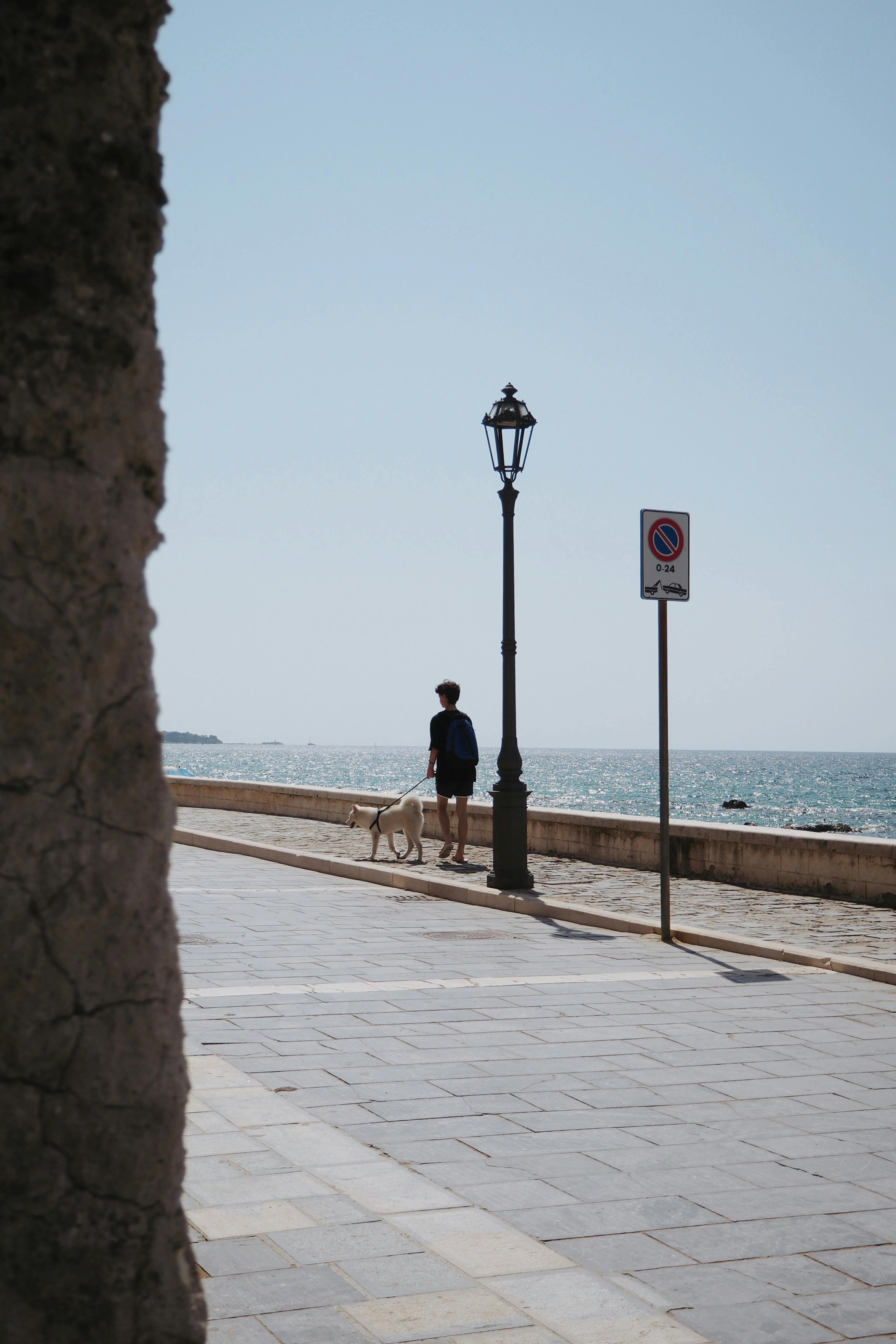 A man walks his dog along a sunny coastal promenade with a clear sky.
