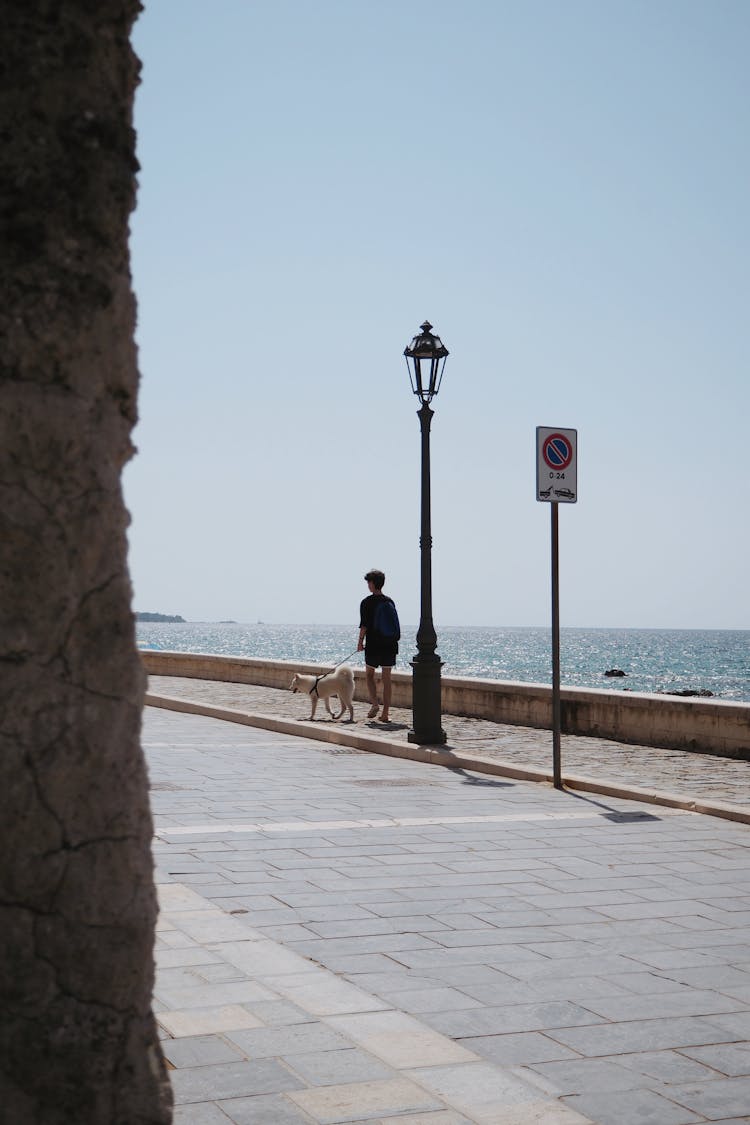 Person Walking A Dog On A Promenade 