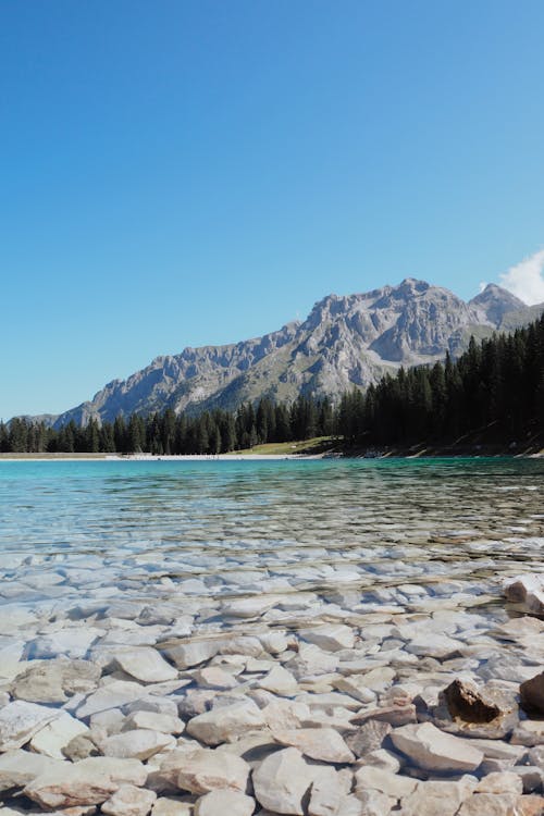 Foto d'estoc gratuïta de llac, muntanya, paisatge