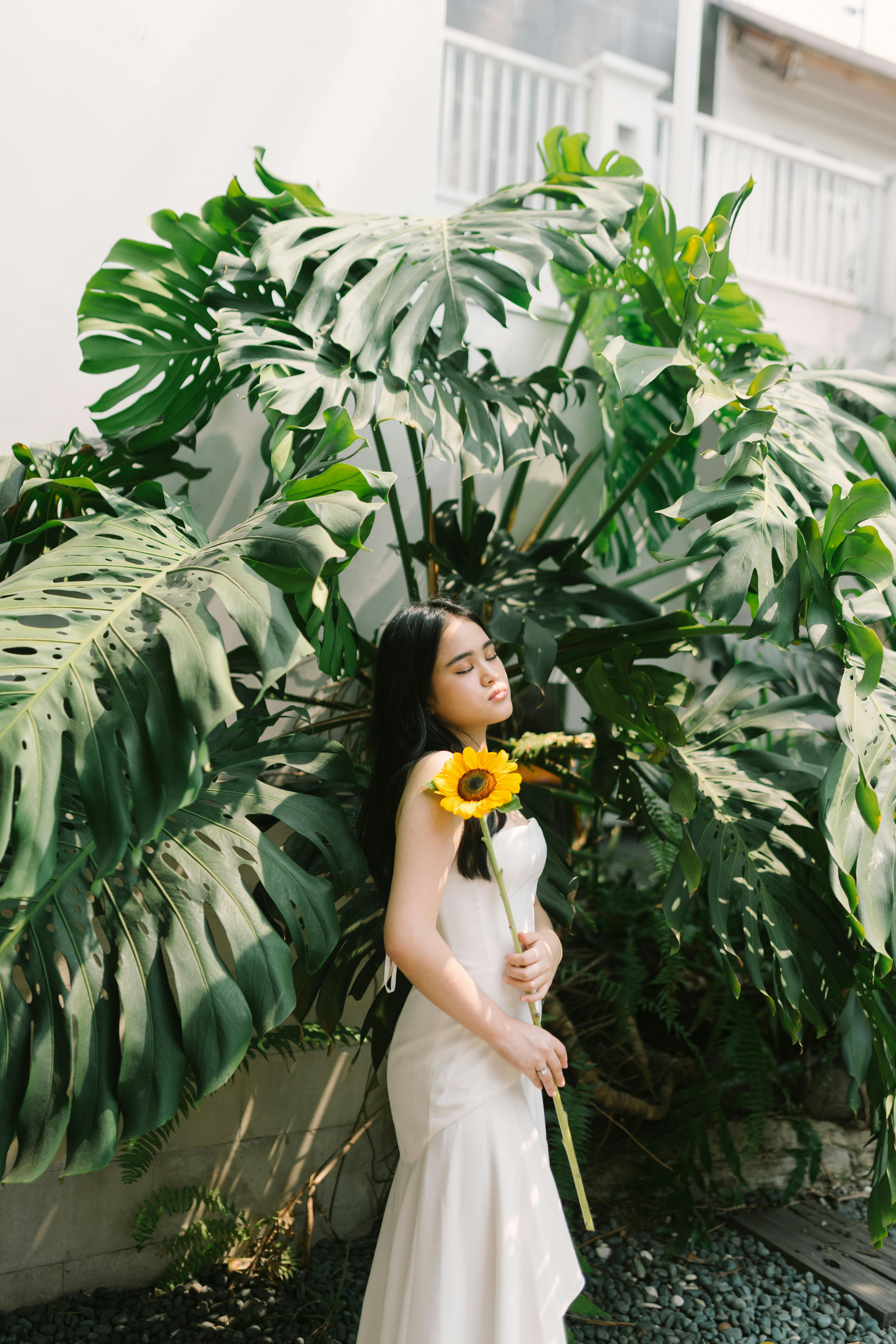 A serene woman in a white dress poses with a sunflower against lush monstera leaves outdoors.