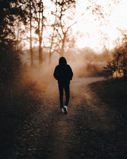 Free Person wearing a hooded jacket walks on a foggy rural path at dawn, surrounded by autumn trees. Stock Photo
