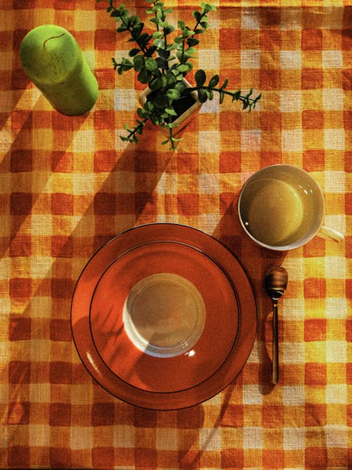 Place Setting on Red Checked Tablecloth