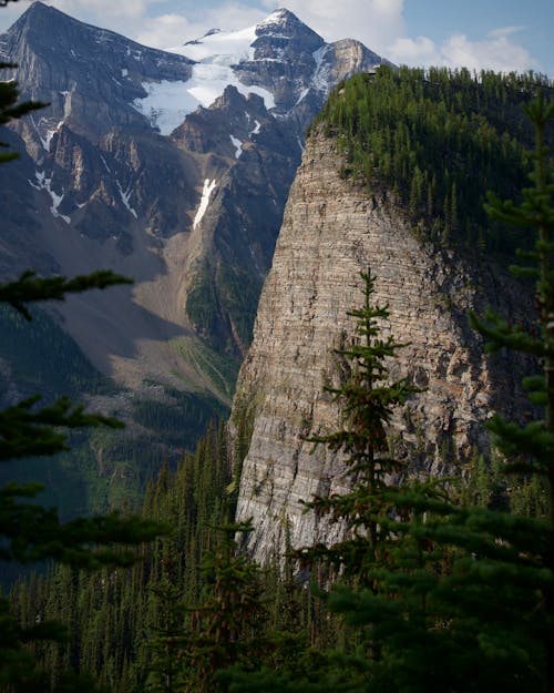 Scenic View of Mountains and Forests in Banff National Park, Alberta, Canada 