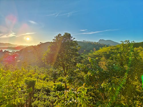 Fotos de stock gratuitas de amanecer, cerros, cielo azul