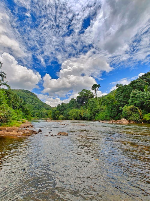 Foto stok gratis hiburan, hutan, kithulgala