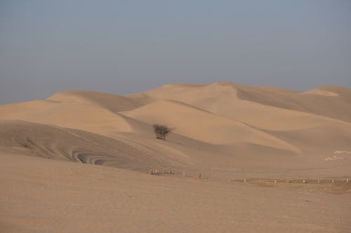 Darmowe zdjęcie z galerii z jałowy, krajobraz, piasek