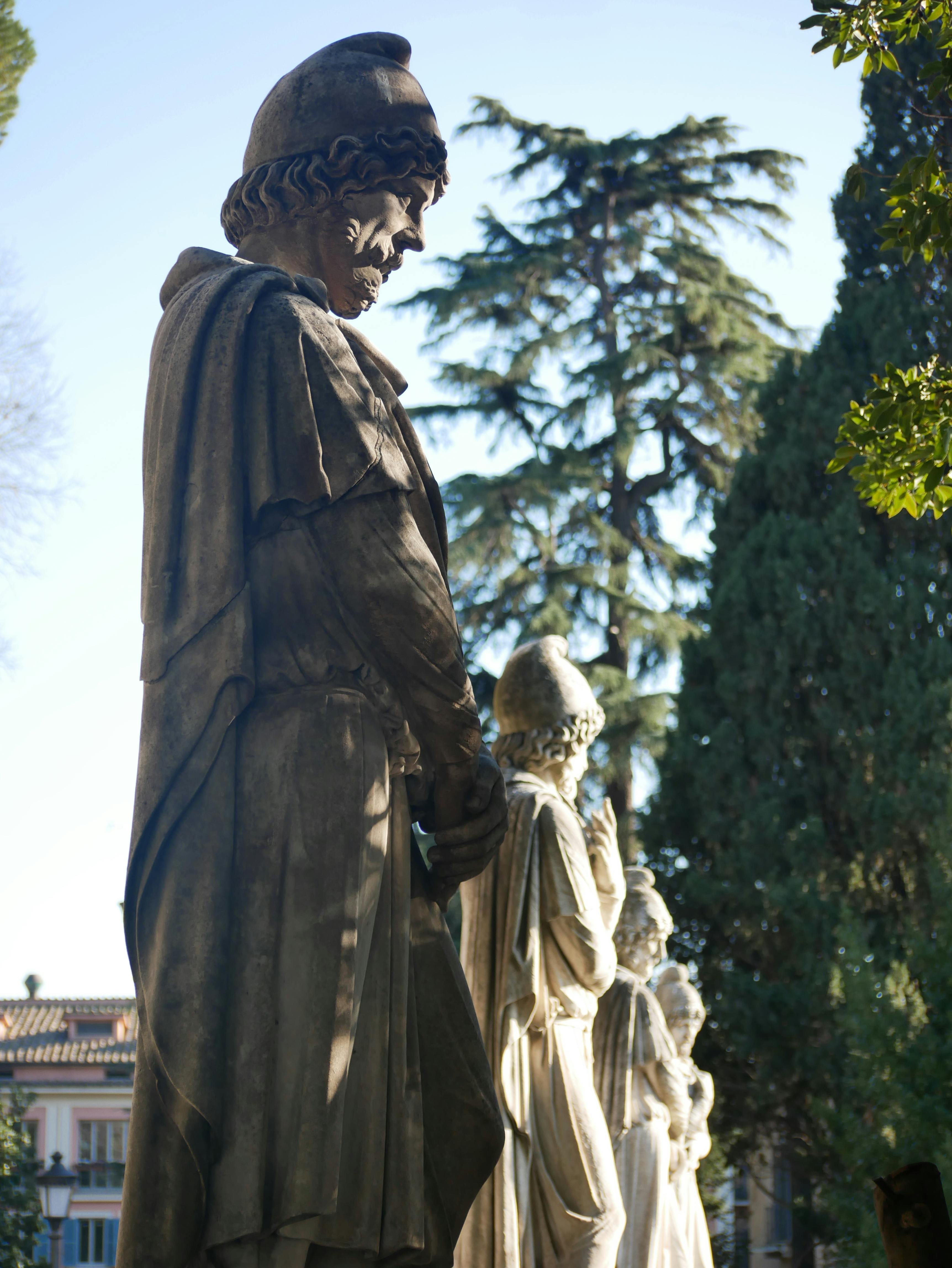 throw light on the focus · Free Stock Photo